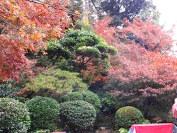 心田庵01-4