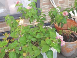 Äí01-5