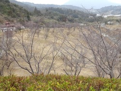 宮崎ダム公園01-6