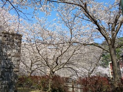 �����������01-6