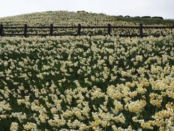 �����Τ01-1