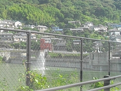 本河内水源地02