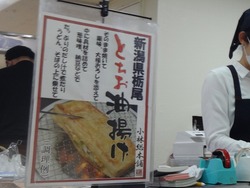 Ĺ���Ͳ�02-4