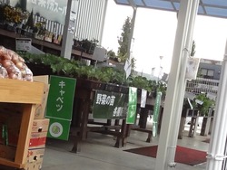 大村02-9