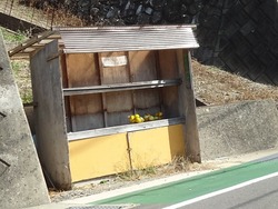 ������01-2