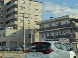 ���Ź���4��־�