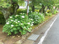 大村公園04-2