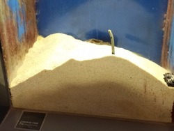 ペンギン水族館01-6