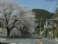 三川公園01