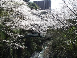 西山ダム公園01-7