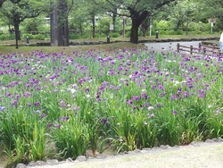 大村公園01-5