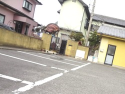 角ずし やまと01-2