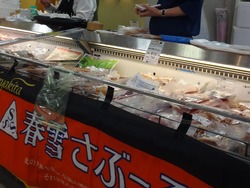 Ĺ���Ͳ�01-6