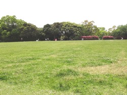 唐八景01-6