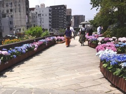 中島川02-6
