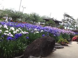 大村公園02
