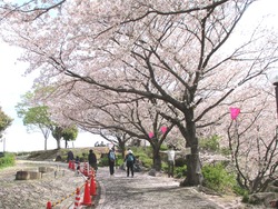 ���������01-6