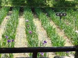 大村公園01-2