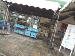 大村01-5