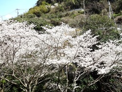 西山ダム公園01
