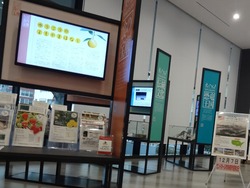 Ĺ������01