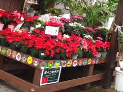 大村02-4