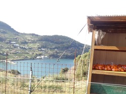 ������01