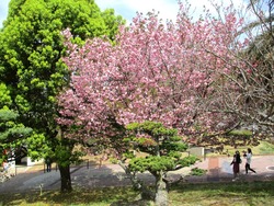 ���������01-2