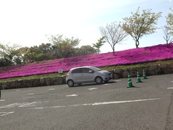 あぐりの丘01