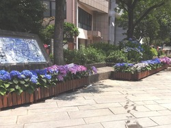 中島川01-6