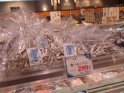 ���������ॷ�ƥ�01-8