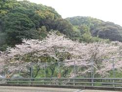 芒塚01-3