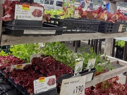 ナフコ時津店01-2