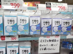 ¥Þ¥¹¥¯01
