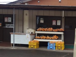 三浦線海沿いマルシェ00