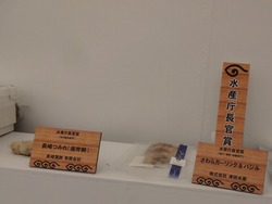 水産製品品評会01-8