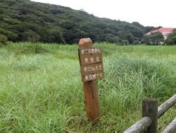 原生沼01