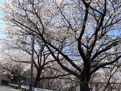 三川公園01-3