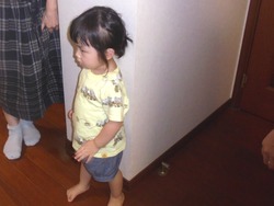 孫01-1
