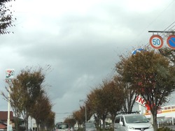大村01-5