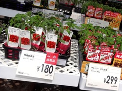ナフコ時津店01-3