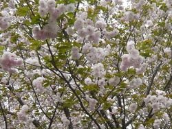 長与02-3