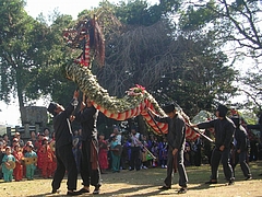 角上蛇踊01-3