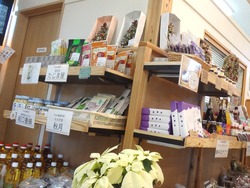 三浦線海沿いマルシェ02-5