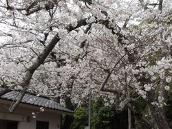 �»�Ϻ����01-2