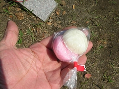 三重くんち05-2