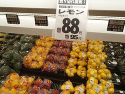 �顦�ࡼ��¼01-3