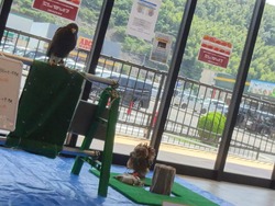 �ե쥹�ݿ���02-3