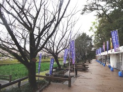 大村公園01-5
