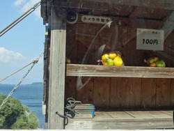 ������01